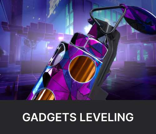 Gadgets Leveling